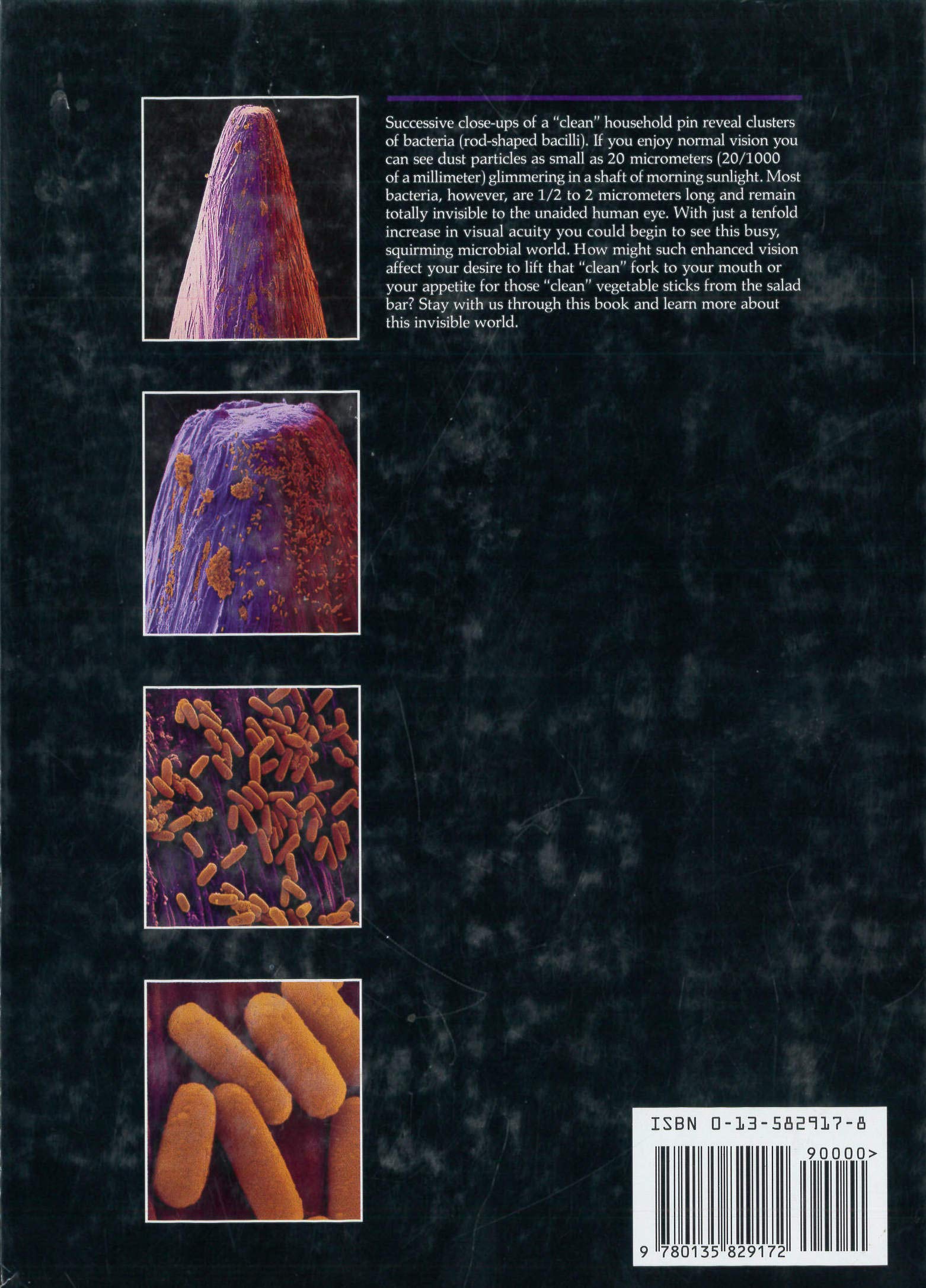 Livre Microbiology: Principles and Applications - Jacquelyn G. Black (Livre d'occasion) - ISBN 01...