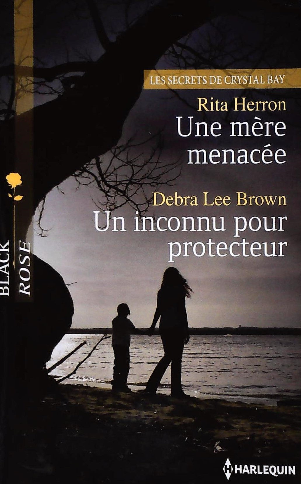 Livre Une mère menacée - Un inconnu pour protecteur - Rita Herron (Livre d'occasion) - ISBN 03736...