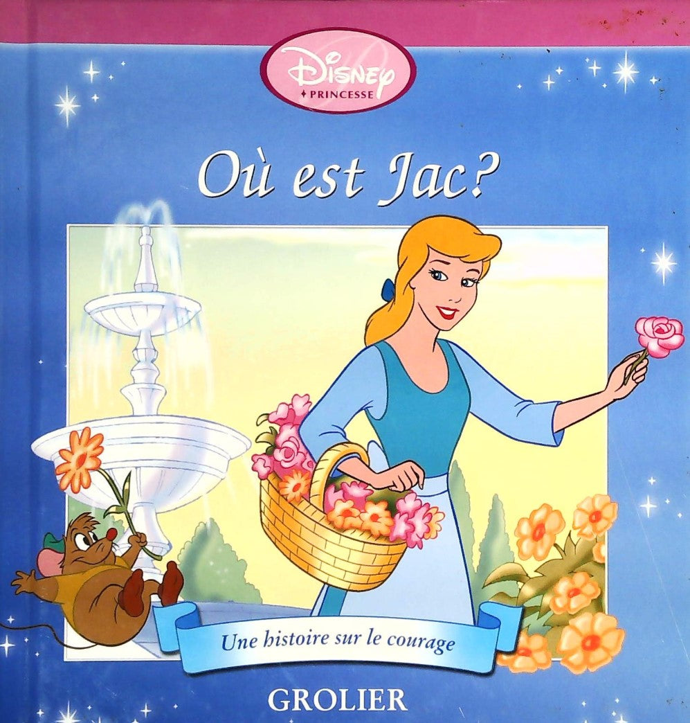 Livre Où est le lac? : Une histoire sur le courage - Disney (Livre d'occasion) - ISBN 0717241556