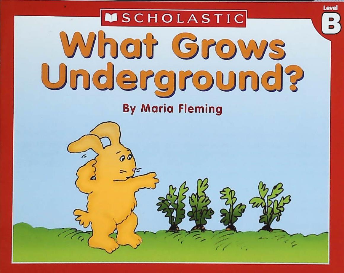 Livre What Grows Underground? - Maria Fleming (Livre d'occasion) - ISBN 0439586593
