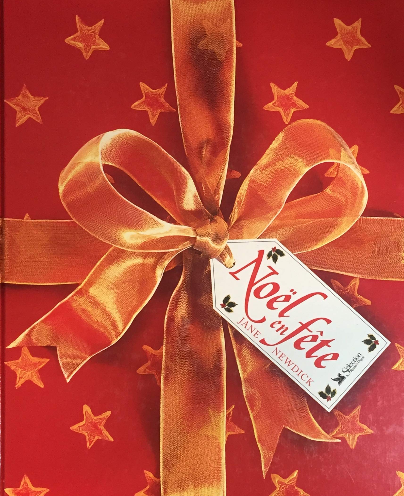 Livre Noël en fête - Janice Newdick (Livre neuf) - ISBN 088850571X