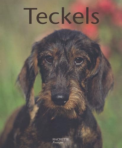 Livre Teckels (Livre d'occasion) - ISBN 2016251344