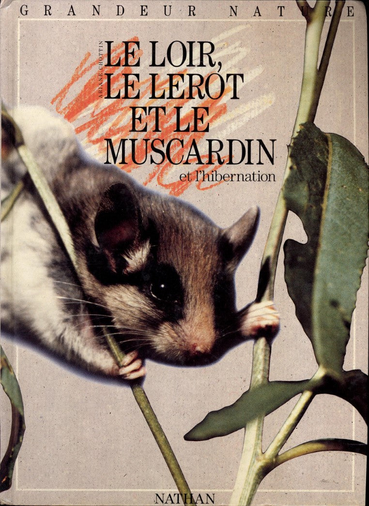 Livre Le loir, le lerot et le muscardin et l'hibernation - Ariane Chottin (Livre d'occasion) - IS...