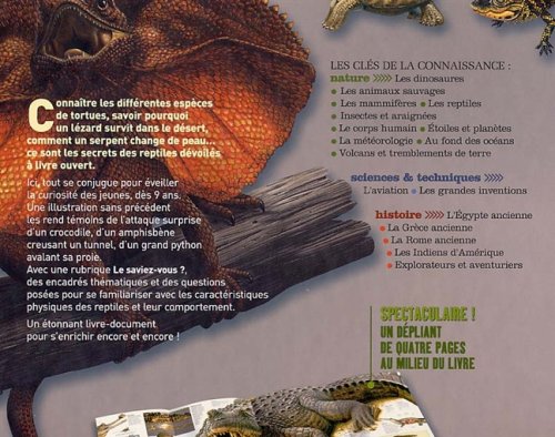 Livre Les reptiles - Collectif (Livre d'occasion) - ISBN 2092772473