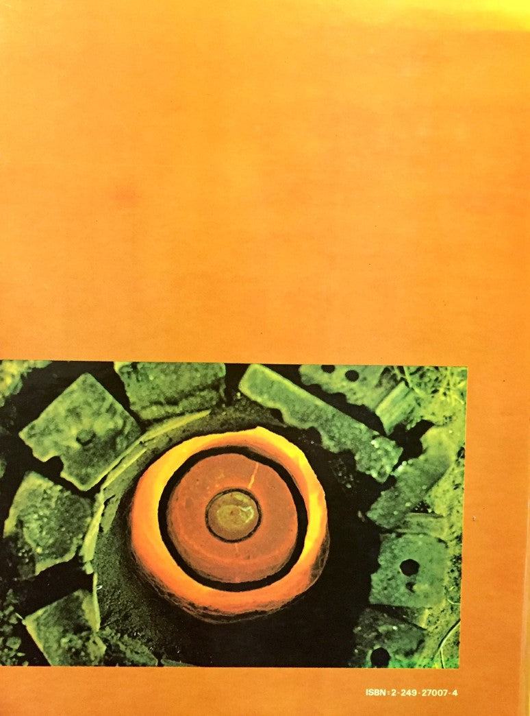 Livre Raku : art et technique - Hal Riegger (Livre d'occasion) - ISBN 2249270074