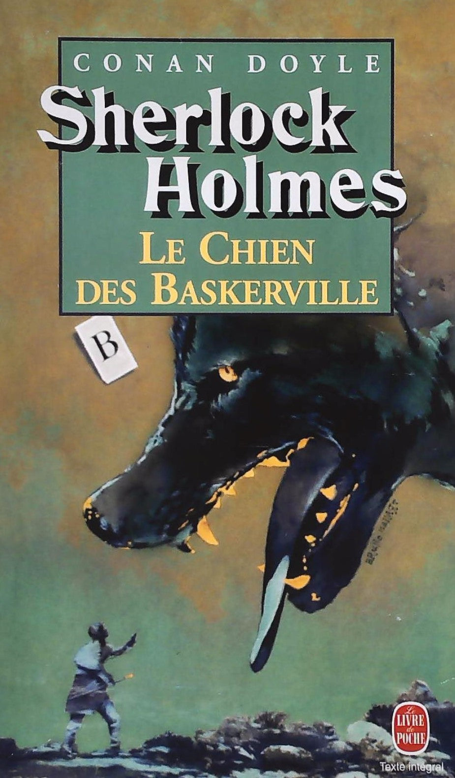 Livre Sherlock Holmes : Le chien des Basketville - Conan Doyle (Livre d'occasion) - ISBN 225300314X