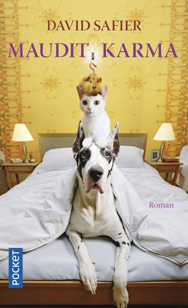 Livre Maudit karma - David Safier (Livre d'occasion) - ISBN 2266192396