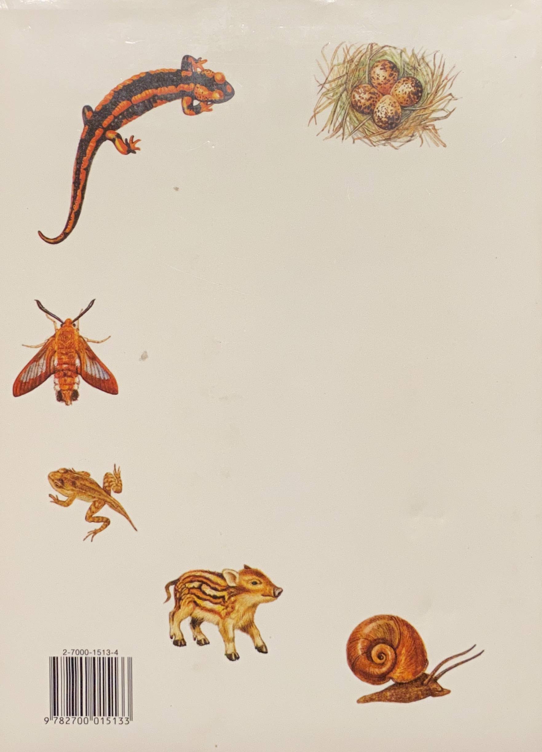 Animaux de tous les pays (Jana Horácková)