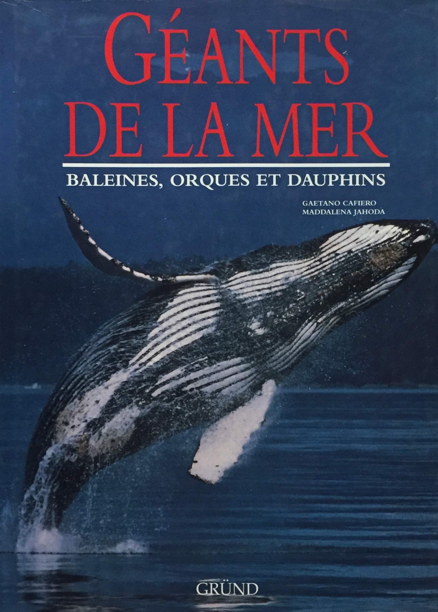 Livre Géants de la mer : baleines, orques et dauphins - Gaetano Cafiero (Livre d'occasion) - ISBN...