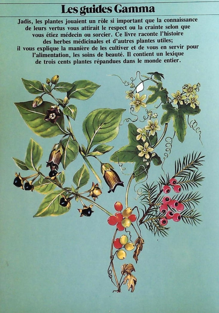 Livre Les herbes médicinales et autres plantes utiles - Collectif (Livre d'occasion) - ISBN 27130...