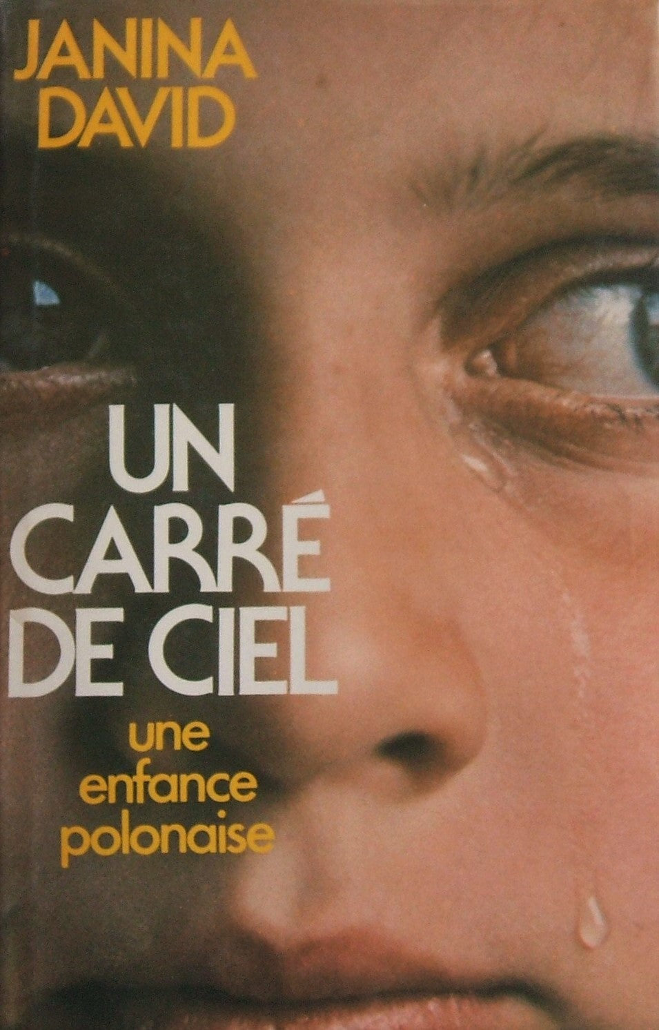 Livre Un carré de ciel : Une enfance polonaise - Janina David (Livre d'occasion) - ISBN 2724216024
