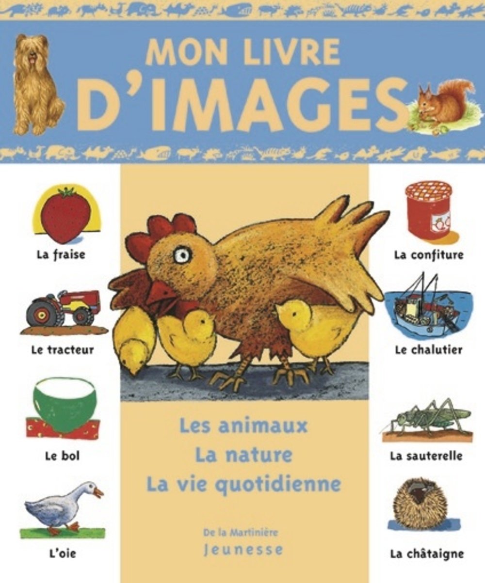 Mon livre d'images : Les animaux, la nature, la vie quotidienne - Michèle Guidetti