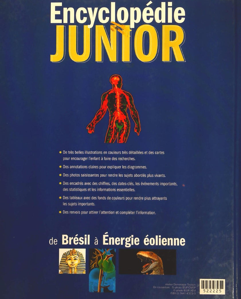 Livre De Brésil à Énergie éolienne - Collectif (Livre d'occasion) - ISBN 2744143723