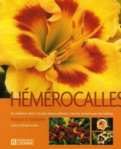 Les hémérocalles - Réjean D. Millette