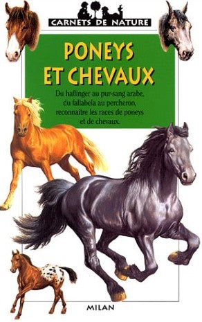 Carnets de nature : Poneys et chevaux - Gilles Delaborde