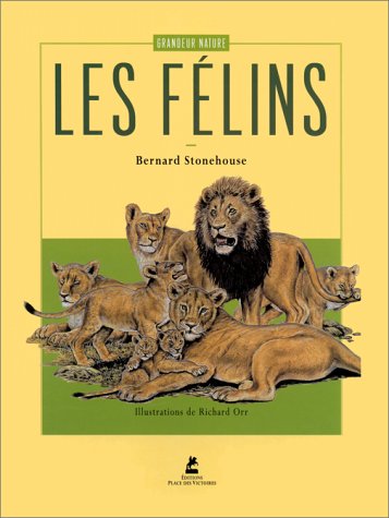 Livre Les félins - Bernard Stonehouse (Livre d'occasion) - ISBN 2844590217