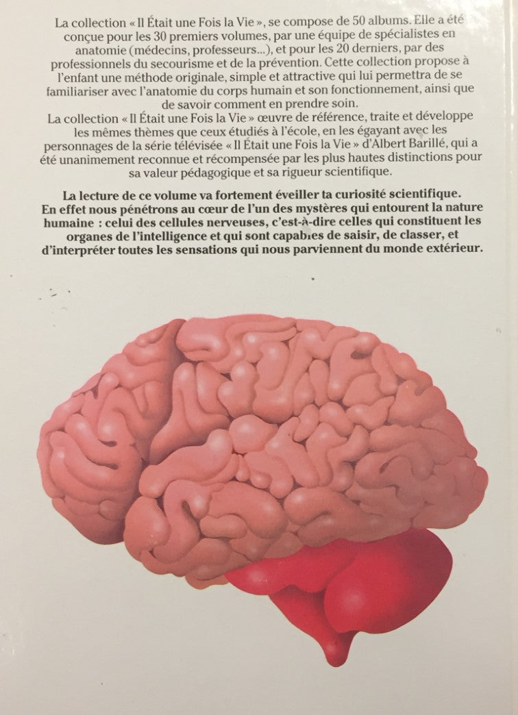 Le corps humain : Il était une fois la vie # 9 : Le cerveau