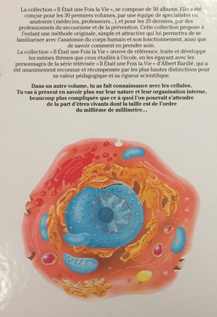 Le corps humain : Il était une fois la vie # 20 : L'origine de la vie 2