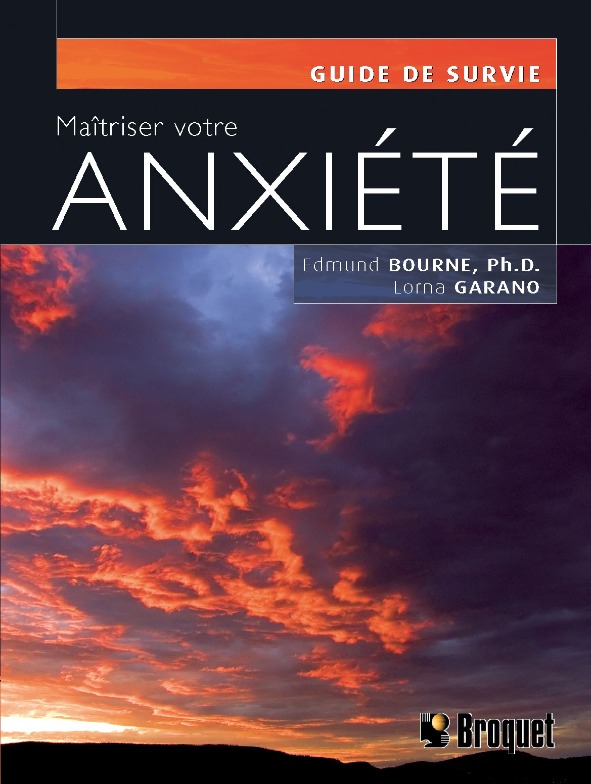 Livre Maîtriser votre anxiété - Edmund Bourne (Livre d'occasion) - ISBN 2890007200