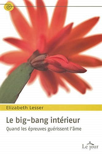Livre Le big-bang intérieur : Quand les épreuves guérissent l'âme - Elizabeth Lesser (Livre neuf)...