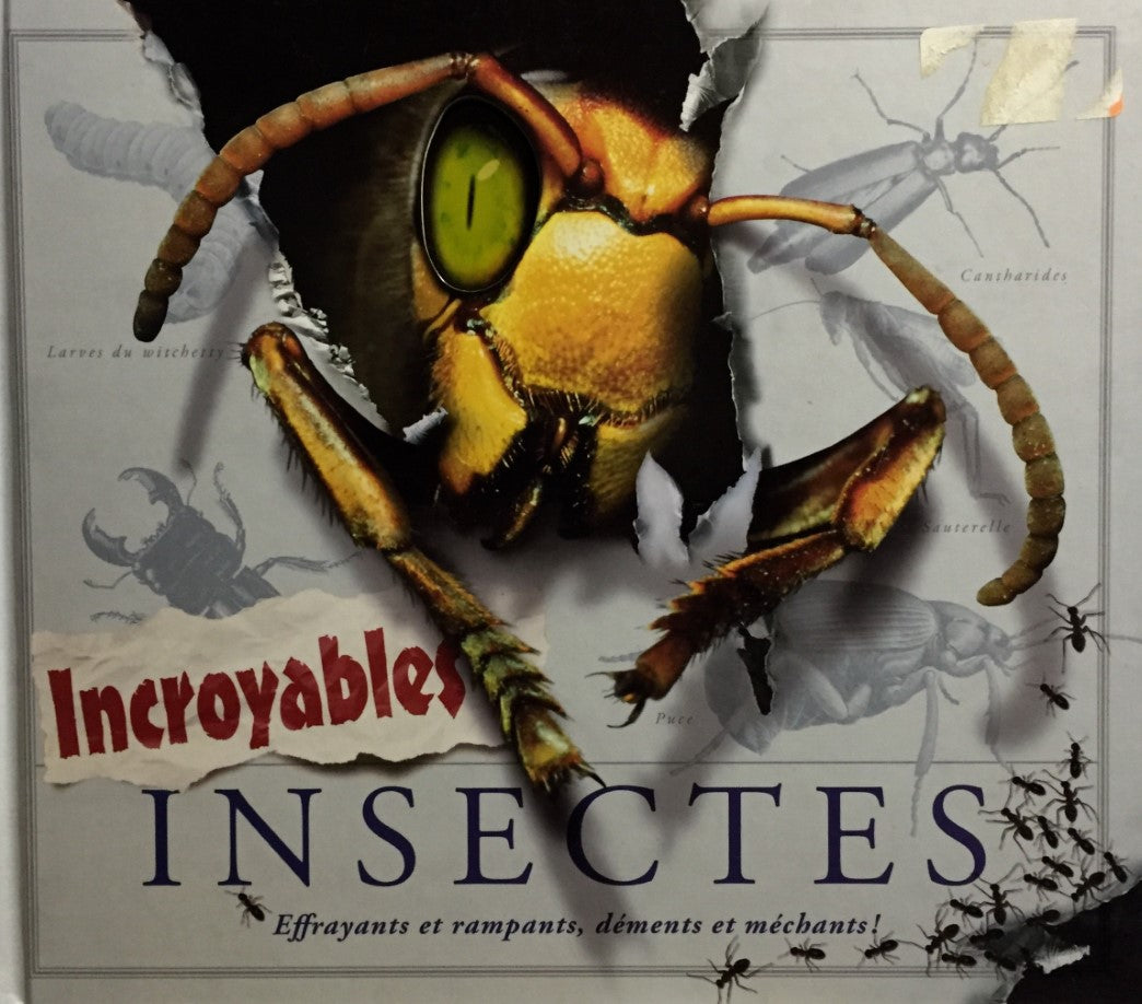 Livre Incroyables insectes (Livre d'occasion) - ISBN 2896387382