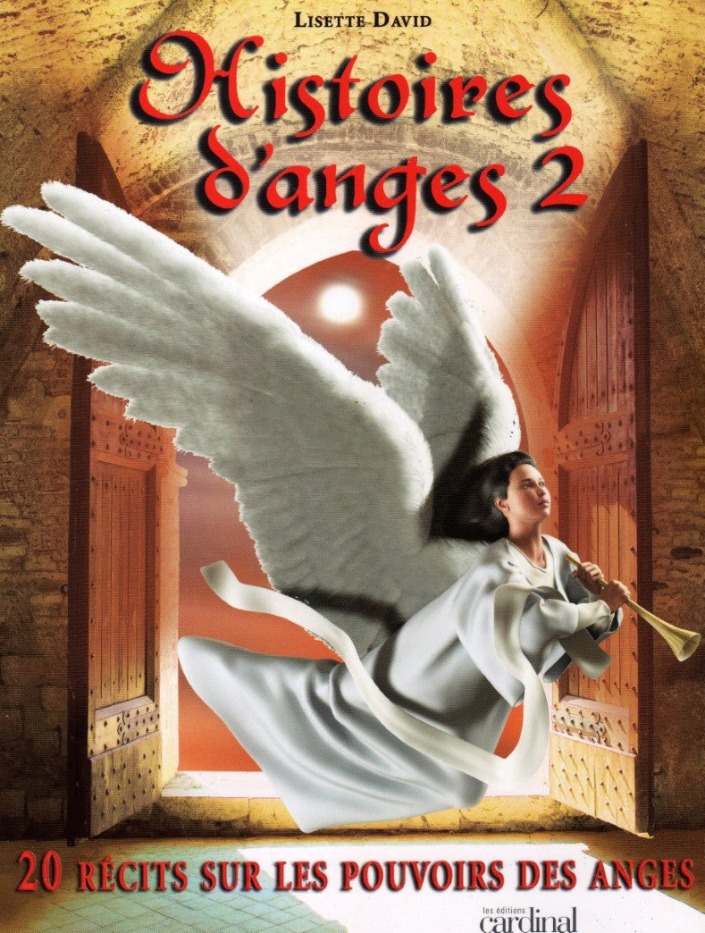 Livre Histoires d'anges (Lisette David) (Livre neuf) - ISBN 292094391X
