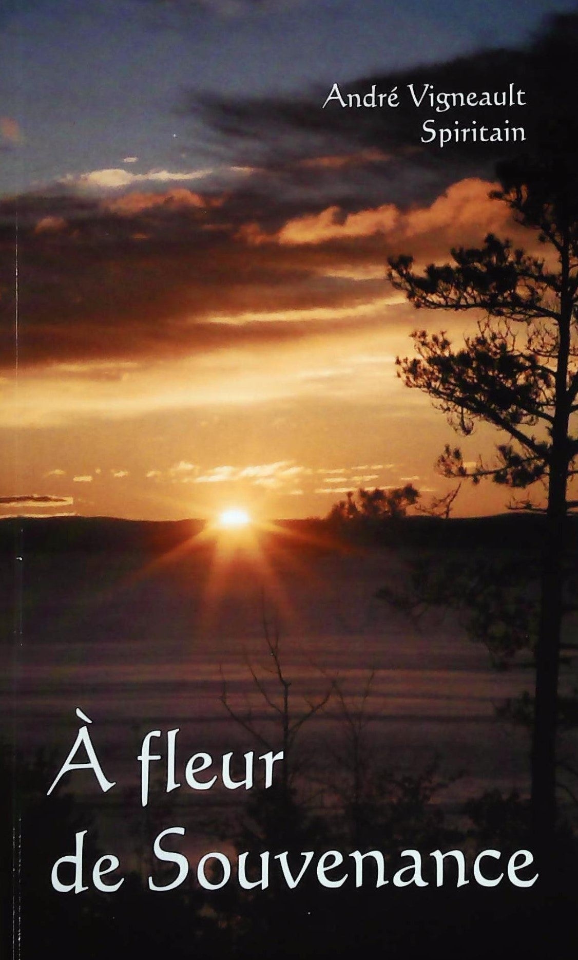 Livre À fleur de Souvenance - André Vigneault (Livre d'occasion) - ISBN 2980682519