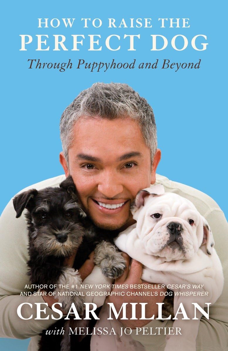 How To Raise The Perfect Dog Through Puppyhood And Beyond - Cesar Millan