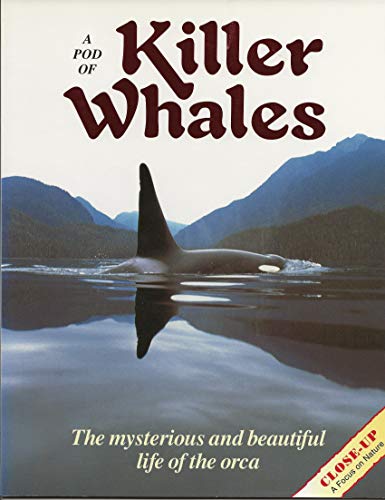 Livre A Pod of Killer Whales: The Mysterious and Beautiful Life of the Orca - Vicki Leon (Livre d...