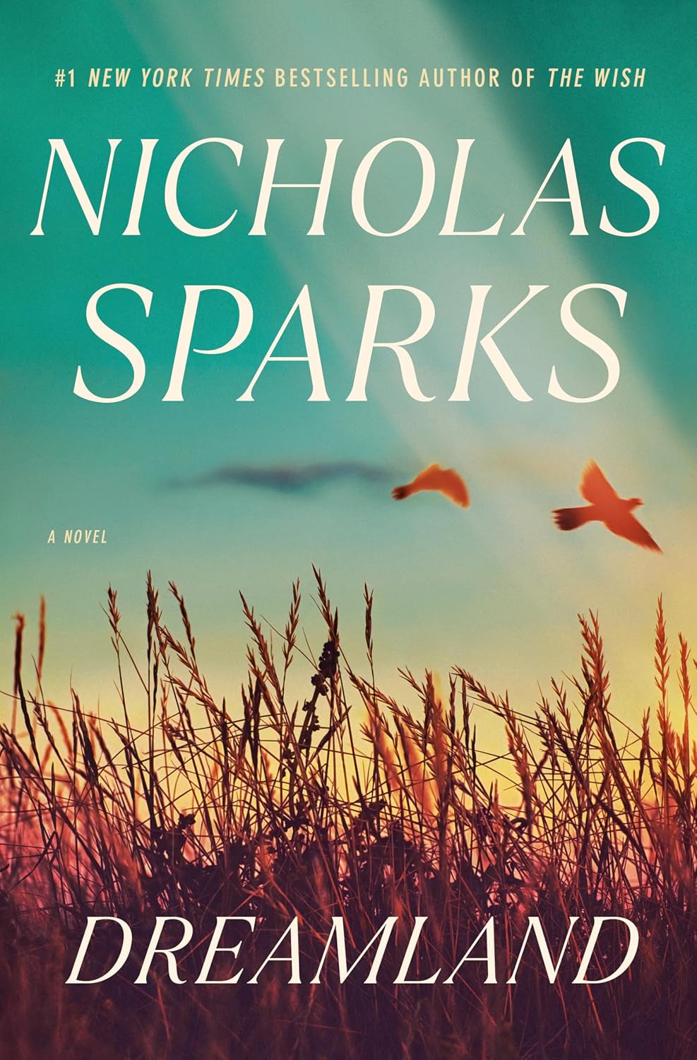 Livre Dreamland - Nicholas Sparks (Livre d'occasion) - ISBN 0385675259