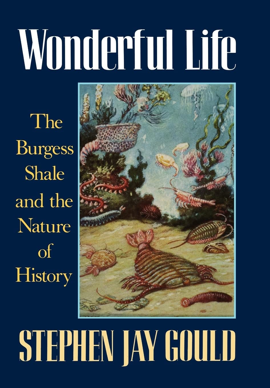 Livre Wonderful Life : The Burgess Shale and the Nature of History - Stephen Jay Gould (Livre d'o...