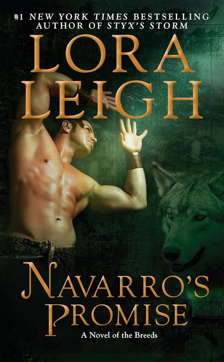 Livre Navarro's Promise - Lora Leigh (Livre neuf)