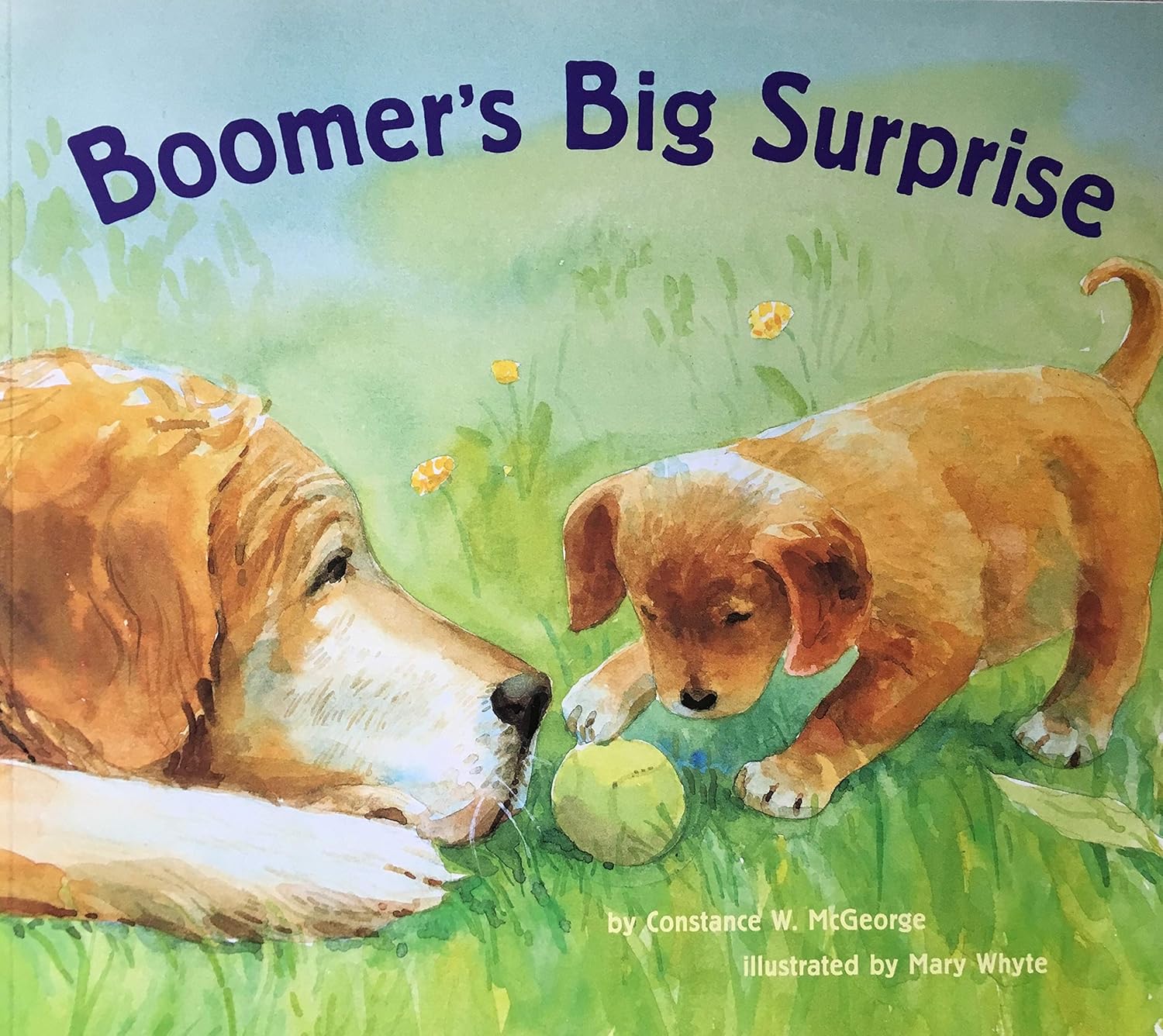 Livre Boomer'S Big Surprise (Constance W. Mcgeorge) (Livre d'occasion) - ISBN 0439133076