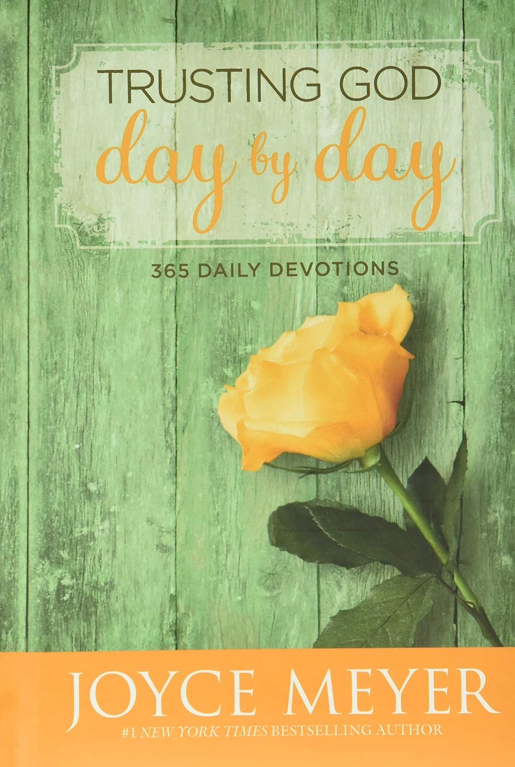 Livre Trusting God Day by Day : 365 Daily Devotions - Joyce Meyer (Livre neuf) - ISBN 0446538582