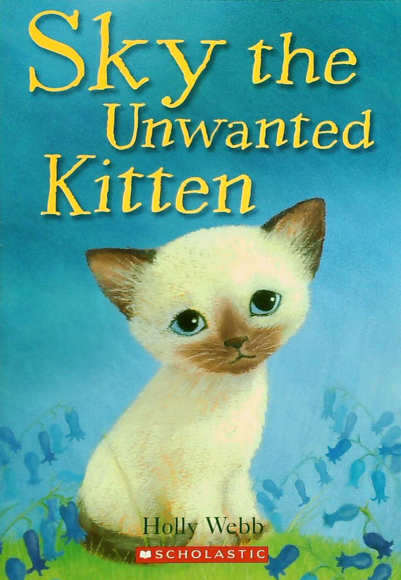 Livre Sky The Unwanted Kitten - Holly Webb (Livre d'occasion) - ISBN 0545166241