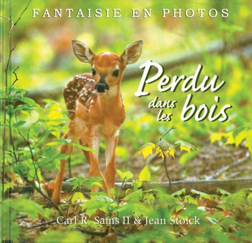 Livre Perdu dans les bois - Carl R. Sams II (Livre d'occasion) - ISBN 0545998758