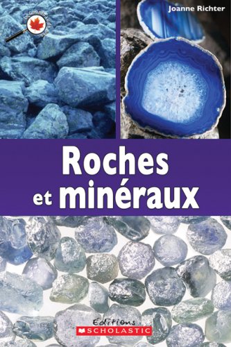 Livre Roches et minéraux - Joanne Richter (Livre d'occasion) - ISBN 0545999359