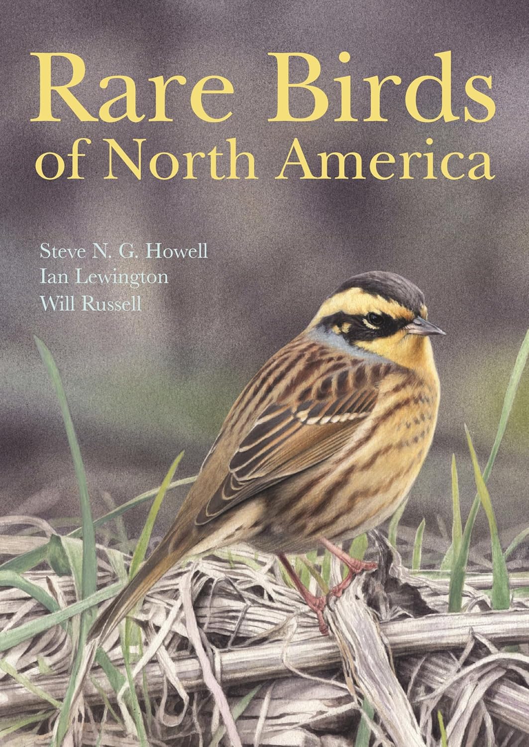 Livre Rare Birds of North America - Steve N.G. Howell (Livre d'occasion) - ISBN 0691117969