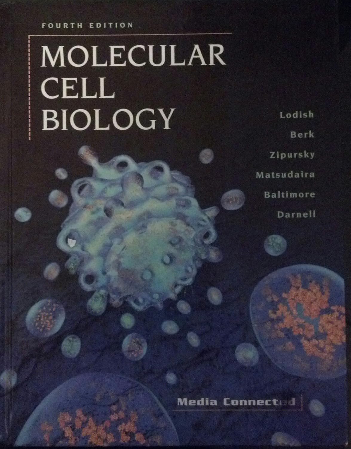 Livre Molecular Cell Biology (4th Edition) - Harvey Lodish (Livre d'occasion) - ISBN 071673706X