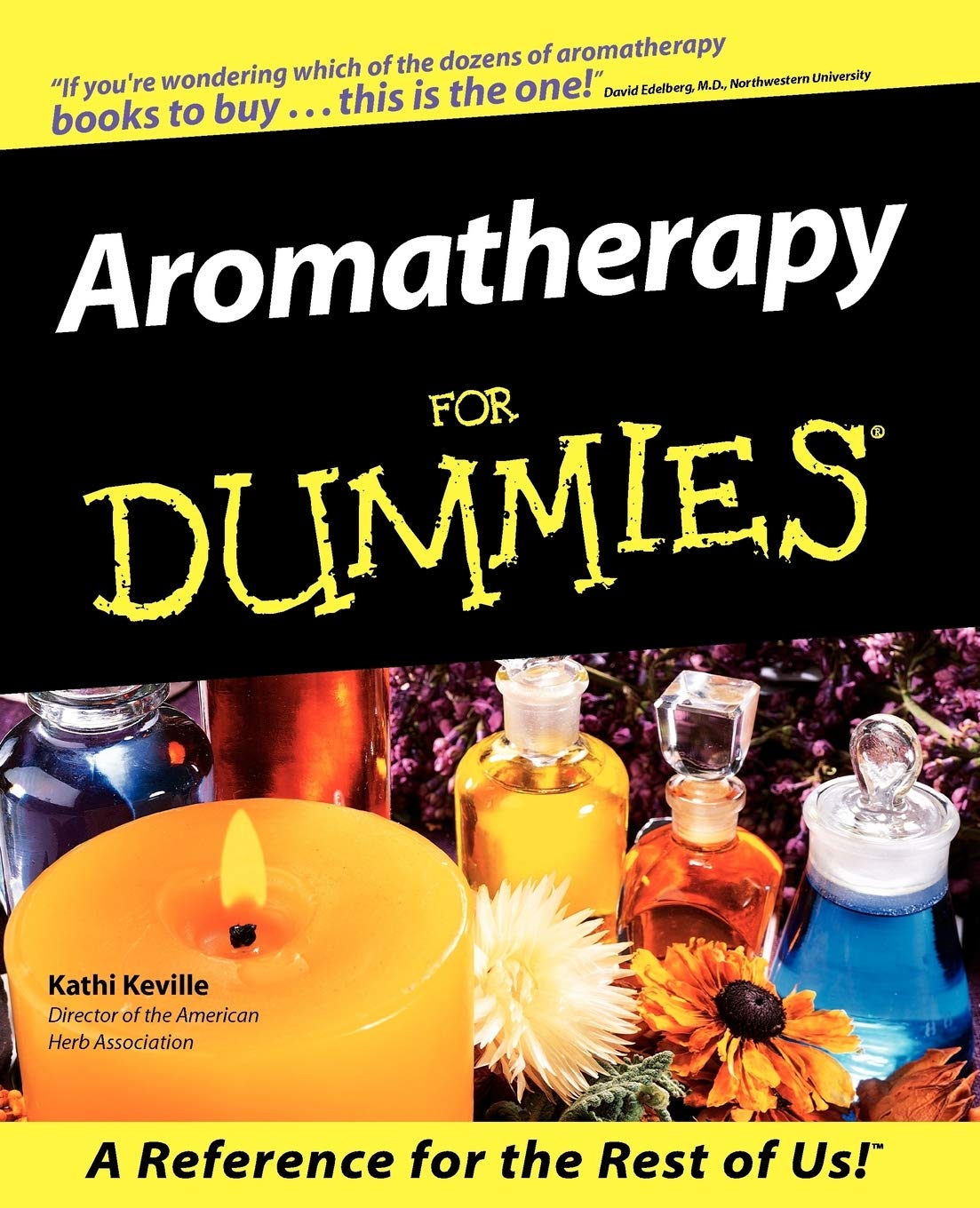 Livre Aromatherapy For Dummies - Kathi Keville (Livre d'occasion) - ISBN 076455171X