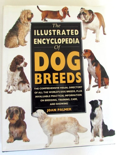 Livre The Illustrated Encyclopedia Of Dog Breeds The Comprehensive Visual Directory Of All The...