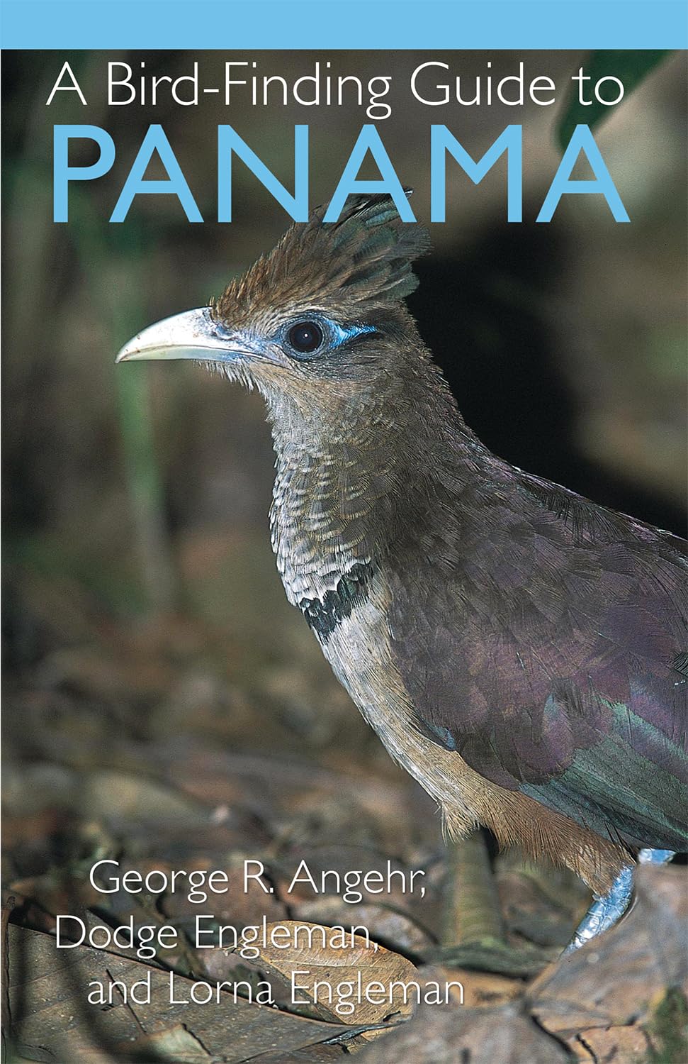 Livre A Bird-Finding Guide to Panama - George Angehr (Livre neuf) - ISBN 080147423X