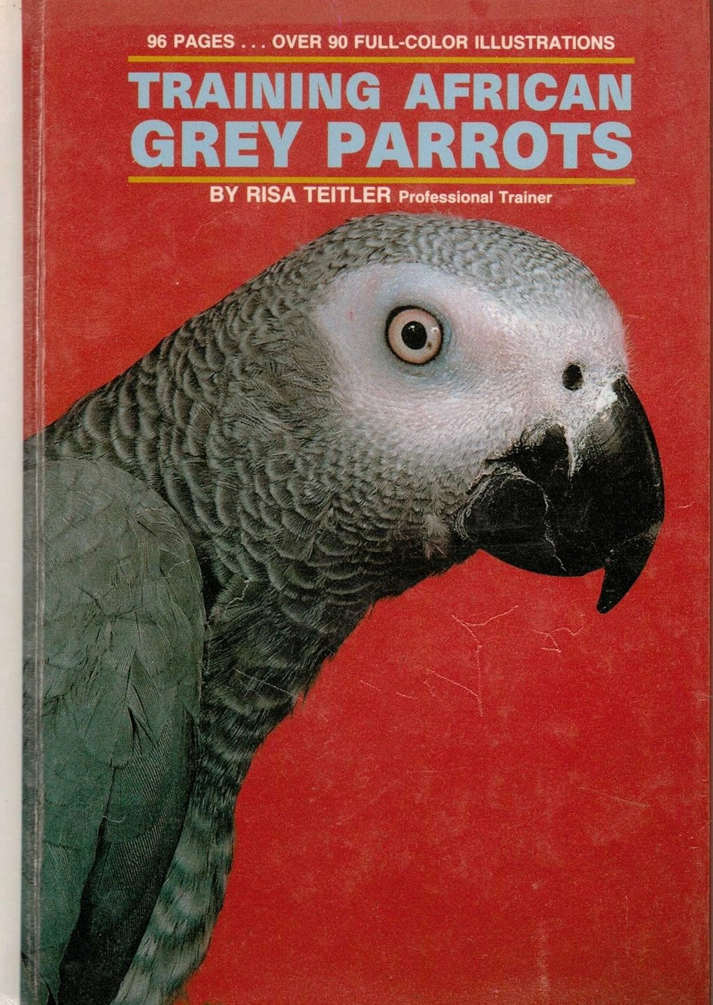 Livre Training African Grey Parrots - Risa Teitler (Livre d'occasion) - ISBN 0866227571