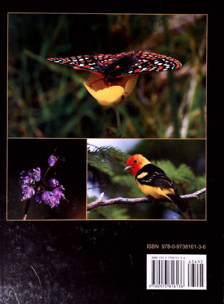 Livre Nature - Mike Yip (Livre d'occasion)