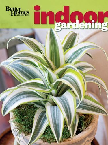 Livre Better Homes & Gardens Indoor Gardening (Better Homes, Gardens) (Livre d'occasion) - ISBN...
