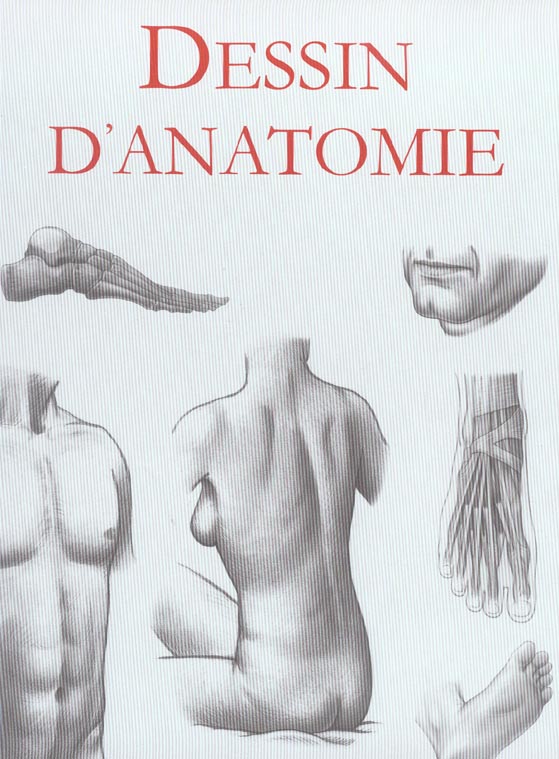 Livre Dessin d'anatomie - Michael Courtney (Livre neuf) - ISBN 1405422416