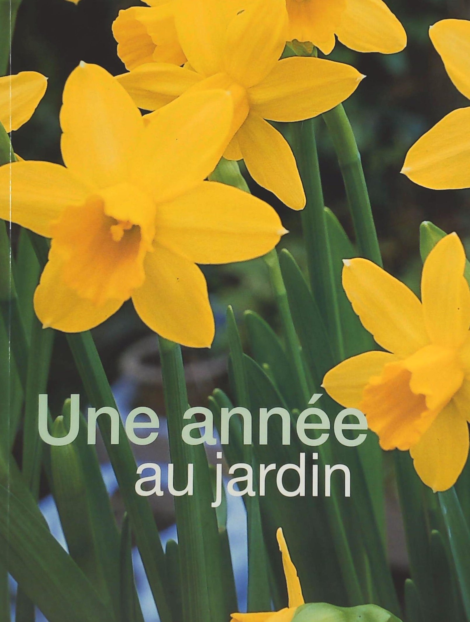Livre Une année au jardin - Jane Courtier (Livre d'occasion) - ISBN 1405444975
