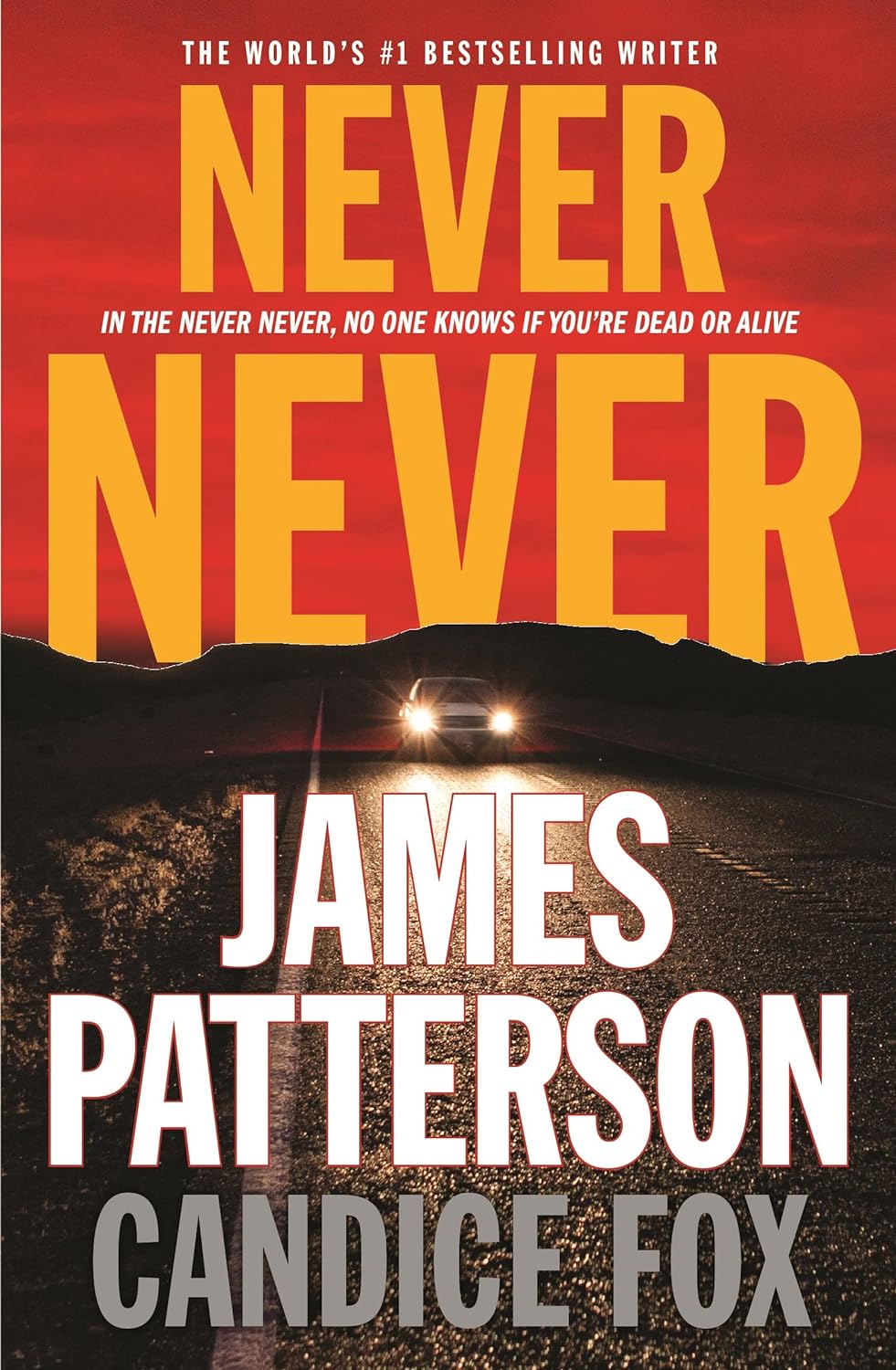 Livre Never Never - James Patterson (Livre d'occasion) - ISBN 1478944773