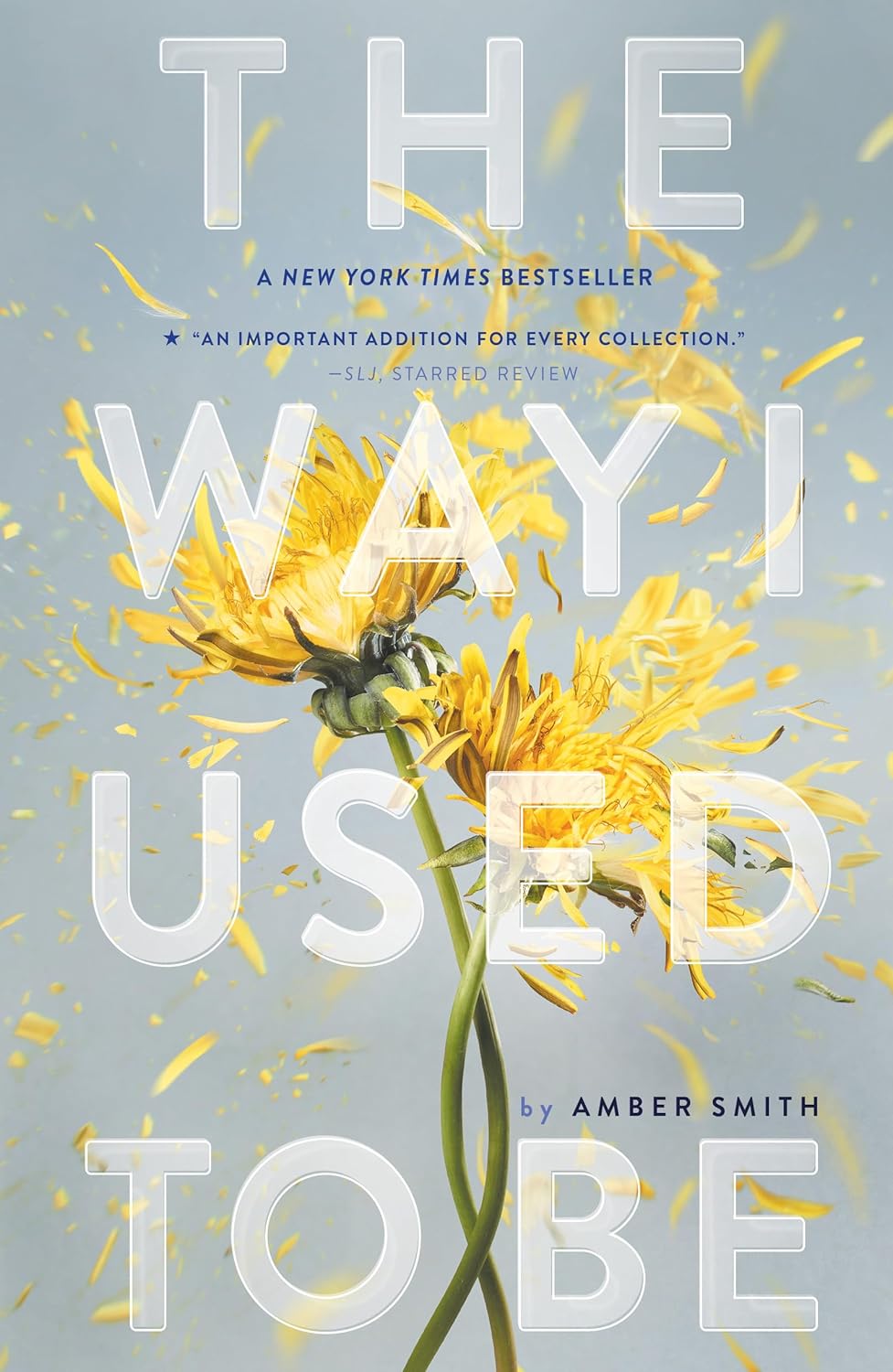 Livre The Way I Used To Be - Amber Smith (Livre d'occasion) - ISBN 1481449362