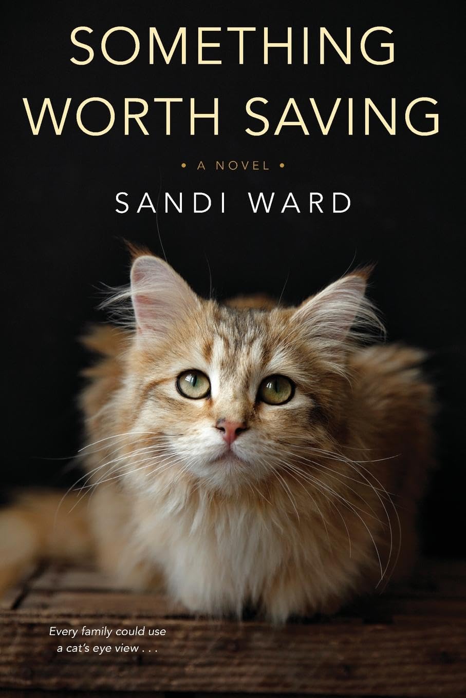 Livre Something Worth Saving - Sandi Ward (Livre neuf) - ISBN 1496711130